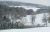Winter landscape